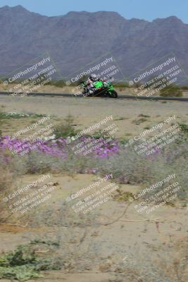 media/Feb-04-2023-SoCal Trackdays (Sat) [[8a776bf2c3]]/Turn 15 Inside Blooming (1050am)/